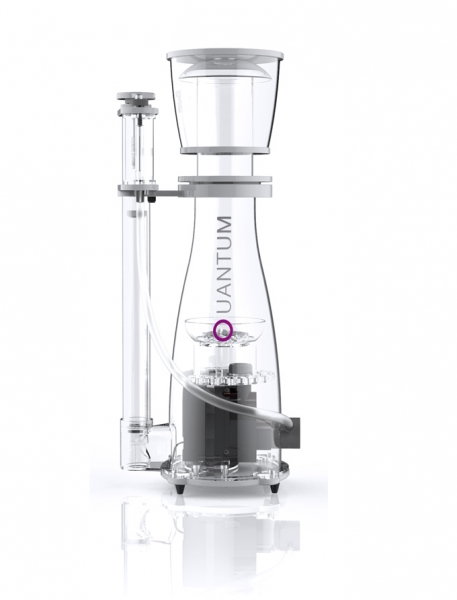 large_10752_quantum_120_1.jpg