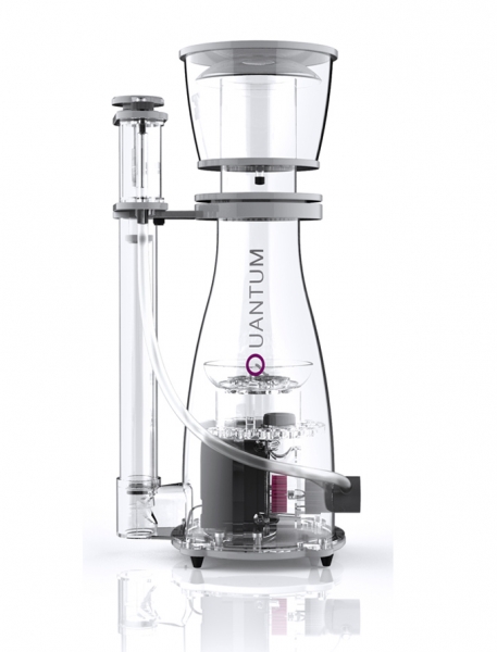 large_10752_quantum_160_1.jpg