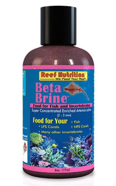 large_10836_beta-brine.jpg