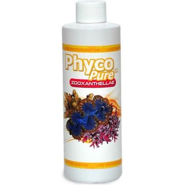 large_11536_PhycoPure-Zooxanthellae.jpg