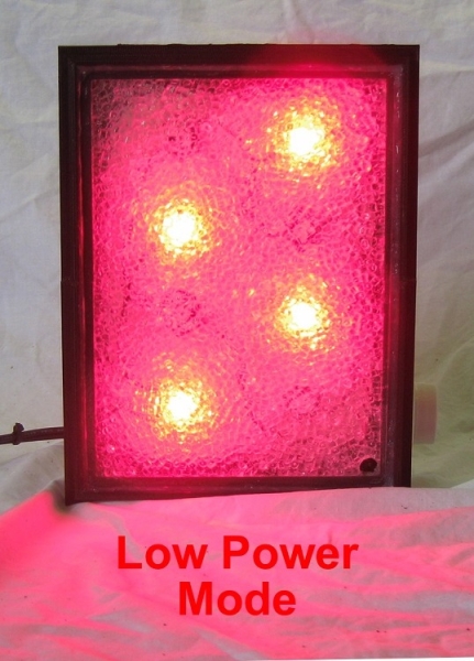 large_11554_surf4-light-low-power.jpg