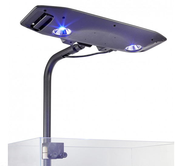large_11601_213019-kessil-ap9x-dualledlight-lighting-cv10.jpg