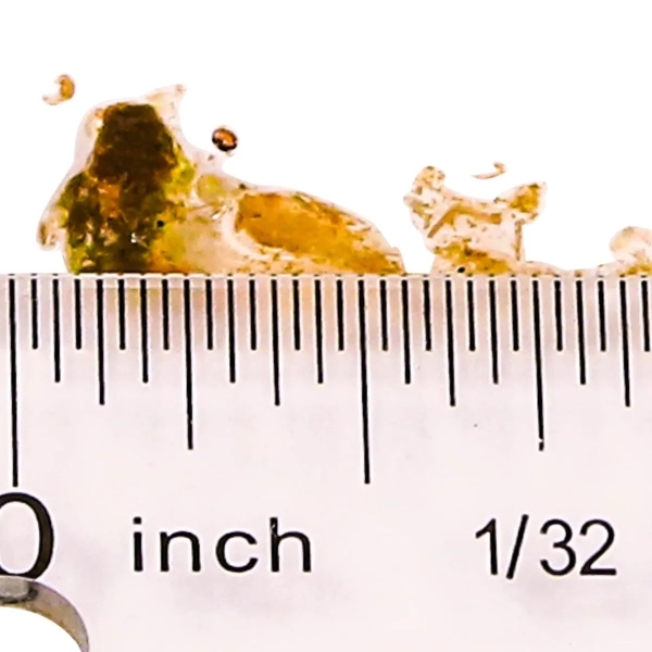 large_12015_rod_s_original.jpg