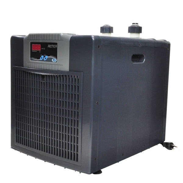 large_12221_206118-Arctica-Chiller-115-HP-Mini-b_1.jpg