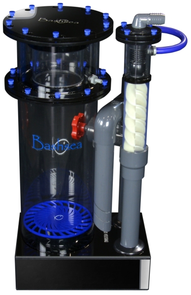 large_13862_bashsea_twisted-skimmer_8-30_blu_front_pb-b.png.jpg