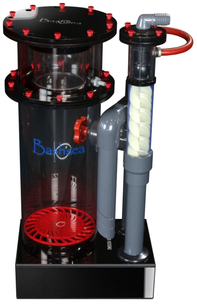 large_13862_bashsea_twisted-skimmer_8-30_red_front_pb-b.png.jpg