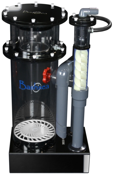 large_13862_bashsea_twisted-skimmer_8-30_white_front_pb-b.png.jpg