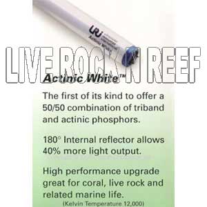 large_4813_LT-UR72-ATW-V.jpg