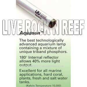 large_4815_LT-UR7-AQ-V.jpg