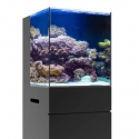 15 Gallon Nano Rimless AIO Aquarium - JBJ