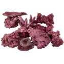 Real Reef Mini Mix Rock (For 10-20 Gallon Aquariums)