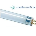 KORALLEN-ZUCHT Fiji Purple High Output T5 Lamp
