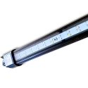 Dalua Illumagic 23 Vitamini Super Actinic LED Strip Light