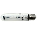 Metal Halide Bulbs