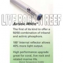 Uri/Uv Lighting 72 Inch Vho Actinic White 160 Watt 12 pack 