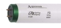 VHO T12 URI UV Bulbs