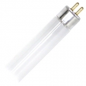 T5 BULBS
