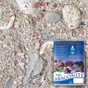 Florida Live Sand and Crushed Coral substrates