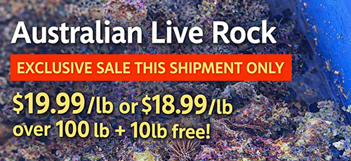 Australian Live Rock