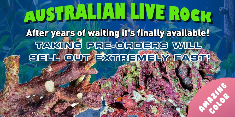 Australian Live Rock