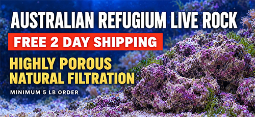 Australian Refufium Rock