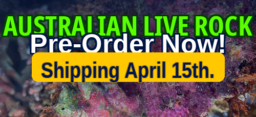 Australian Live Rock