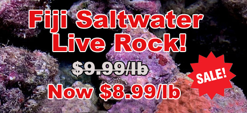 Fiji Saltwater Live Rock