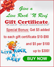 Live Rock 'N Reef Gift Certificates