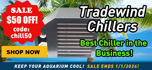 tradewind chillers